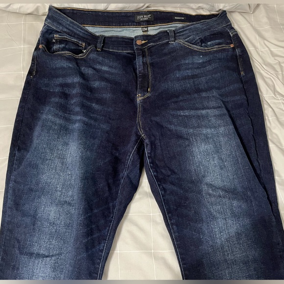 JUDY BLUE SKINNY FIT JEANS, 22W - Picture 3 of 7